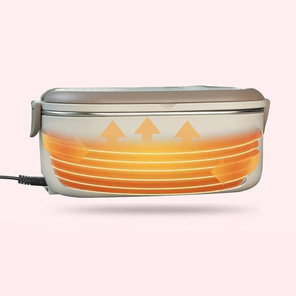 Portable Electric Lunch Box for school, offices and work